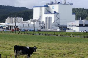 NZ milk production falls 8.2% in Feb – Fonterra