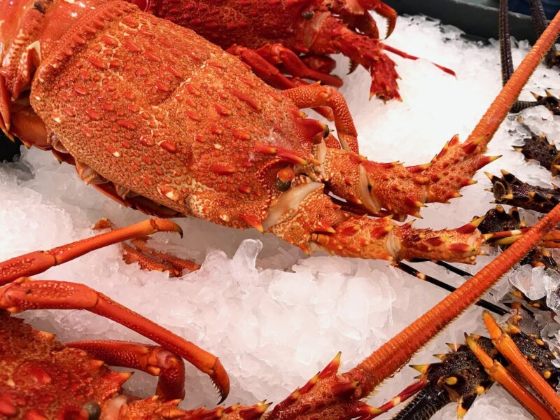 F&B exports to China: lobster leaps as meat, dairy enjoy strong H1