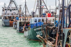Rollout of cameras on fishing vessels to begin