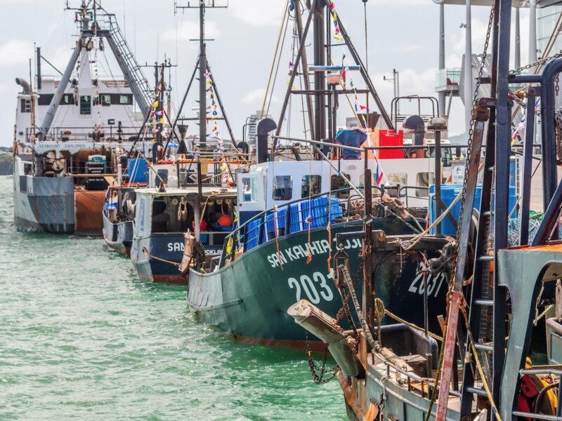 Large birds, large features lead to higher risk of fishing vessel bycatch
