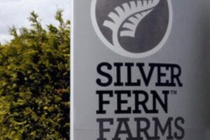 Silver Fern Farms youth scholarships 2022 open