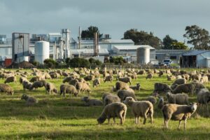 Gates open for Silver Fern Farms and Pasture Summit events
