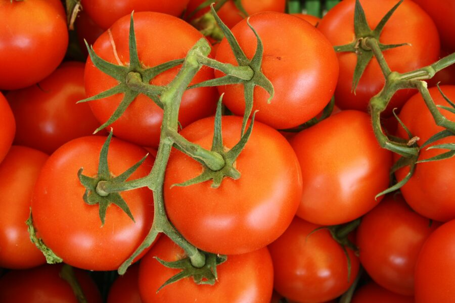 August sees tomato prices spike 38%