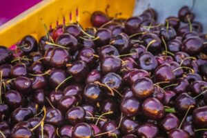 HVN backs NZ cherry research