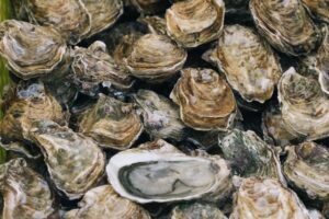 Industry on alert as oyster parasite discovered in Foveaux Strait