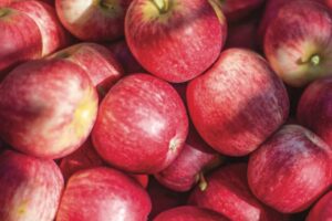 Apple and pear crop on track for 601k tonnes despite headwinds