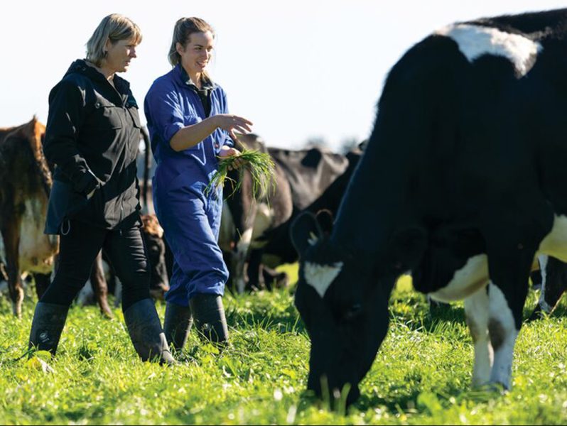 SFFF invests $473k in Dairy Women’s Network
