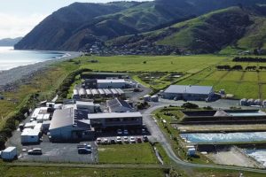 Aquaculture potential in Southland