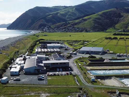 Aquaculture potential in Southland