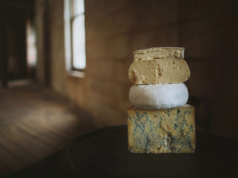NZ Champions of Cheese 2022 crowned