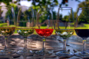Women in Wine mentoring programme starts