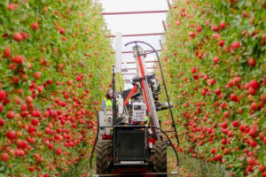 PI Summit 2021: Automated orchards “still 15-20 years away” – NZ Apples & Pears