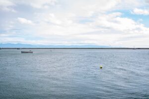 Aquaculture potential highlighted in iwi MOU