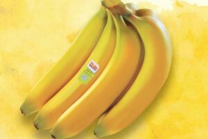 MG Marketing’s $22m warehouse, banana ripening project goes solar