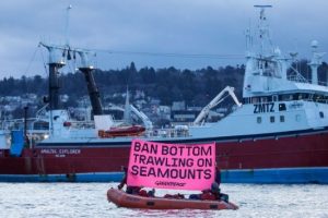 Greenpeace targets Talley’s ship in bottom trawling protest