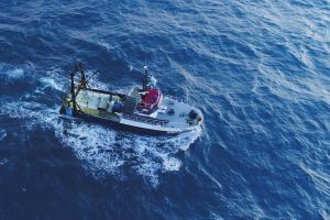 Seafood NZ questions tech, costs, privacy in fishing vessel camera rollout