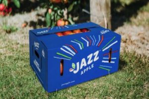 First 2022 jazz apples exported to Europe – T&G