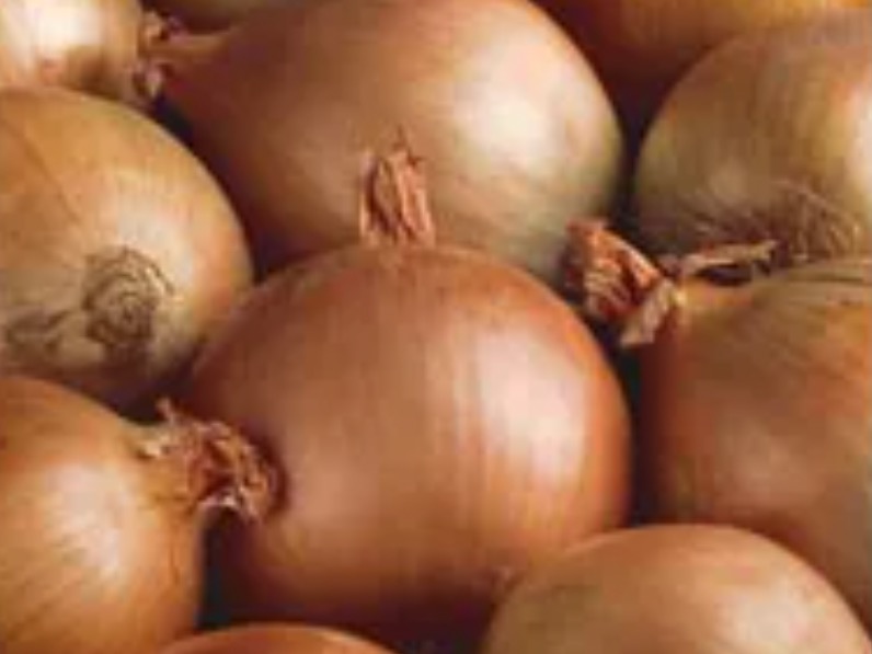 Onions NZ eyes new markets on back of  $6m investment
