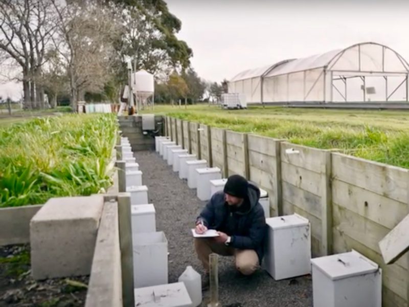 Watch: The Sustainable Vegetable Systems Project