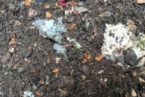 MfE releases compostable packaging position statement