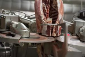 Value of red meat exports jump 28% in May