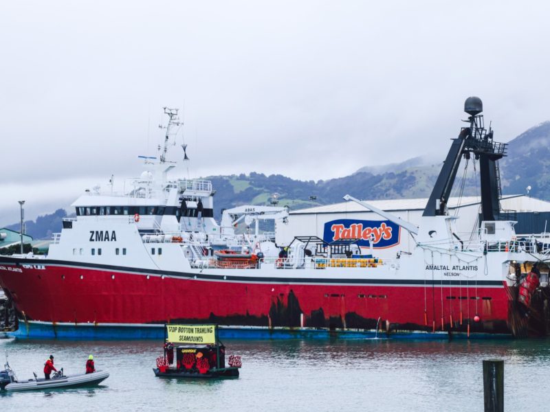 Greenpeace blocks Talley’s ship