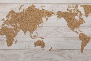 Perspectives: Global food supply impacts and the consequences for NZ