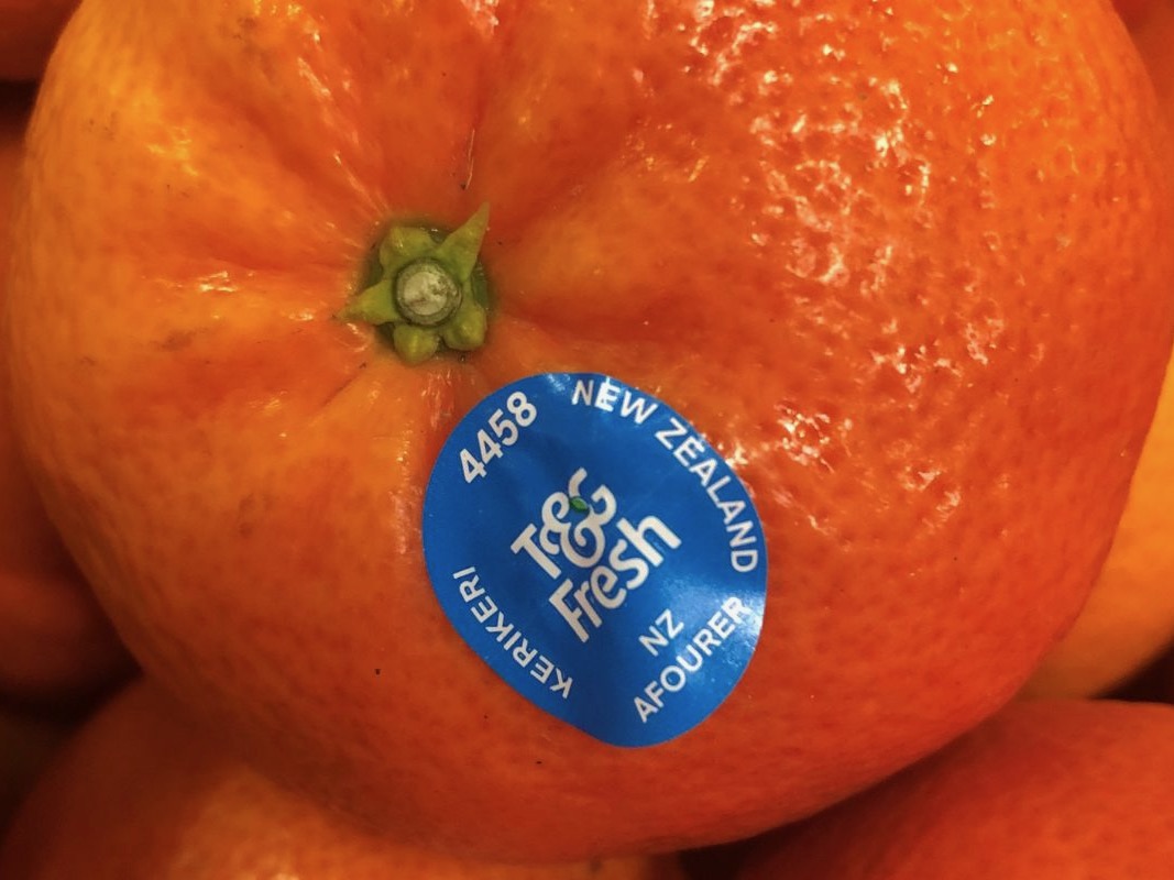 T&G adds Afourer mandarin to citrus range