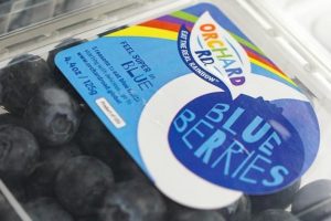 T&G revenue flat, profit up, blueberry biz push