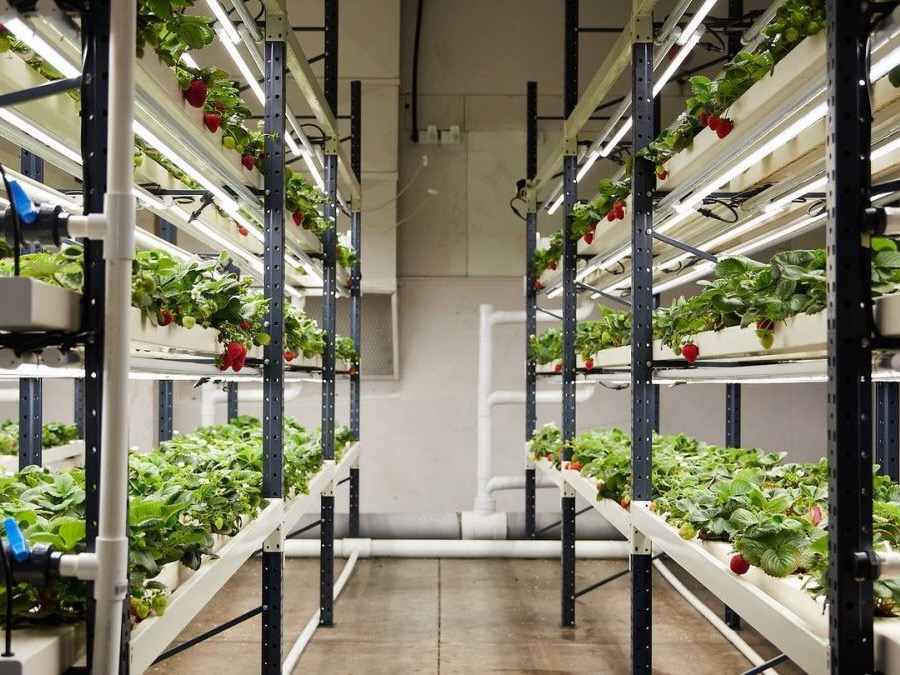 Vertical farming venture secures nearly $1m from govt on way to $5.5m close
