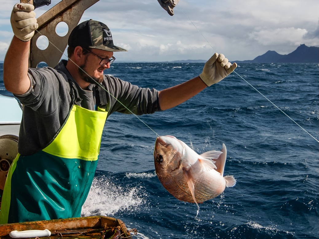 Perspectives: Building a skilled seafood workforce to deliver