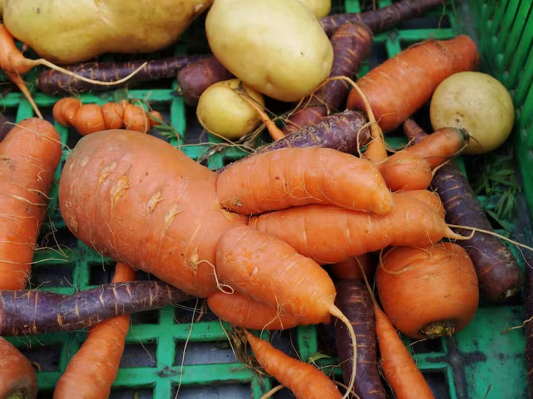 Perspectives: How ‘ugly’ produce could tackle food waste and solve supermarket shortages