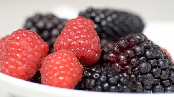 Frozen berry import rules out for consultation