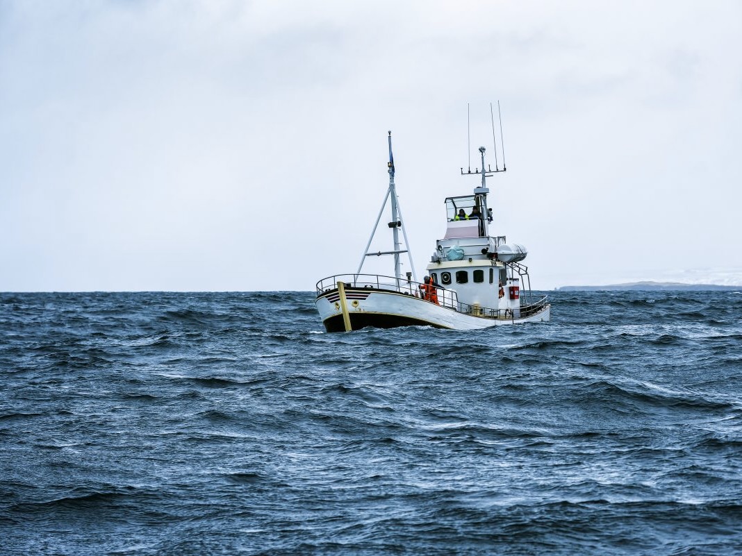 New era, new generation, new challenges for Seafood NZ