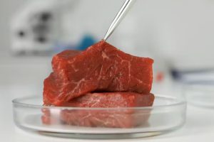Perspectives: Italy is set to ban lab-grown meat – here’s why it should think again