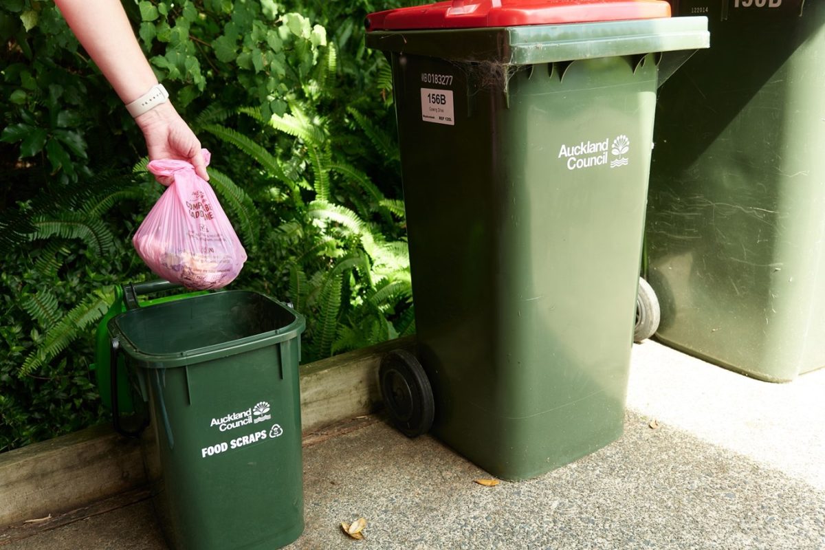 Food waste collection to start in Auckland