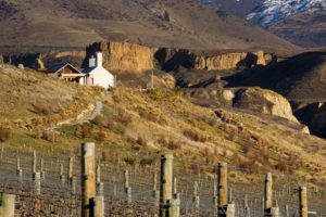 Harvest down 12%, “world class” wine tourism venues on the way – Foley