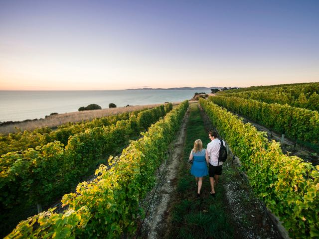 Booze bill could be “major blow” for wine tourism – NZ Winegrowers