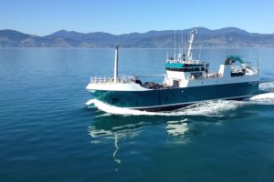 Nelson firm, skipper, first mate fined, fishing vessel forfeited
