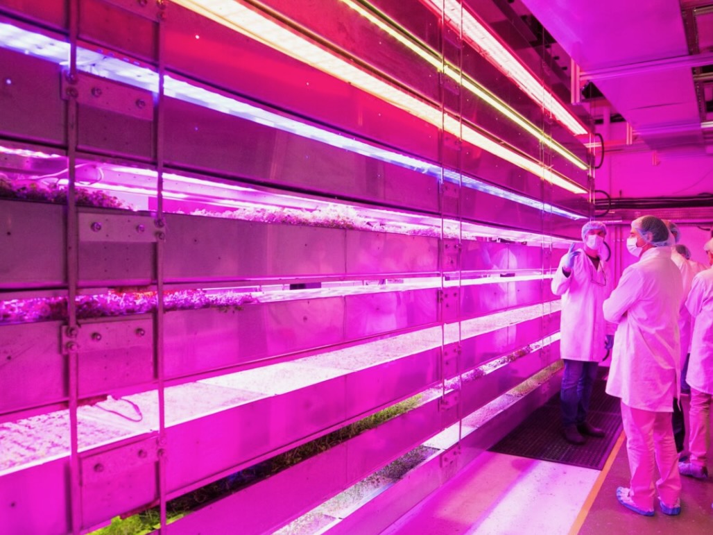 Perspectives: How vertical farming can save water and support food security