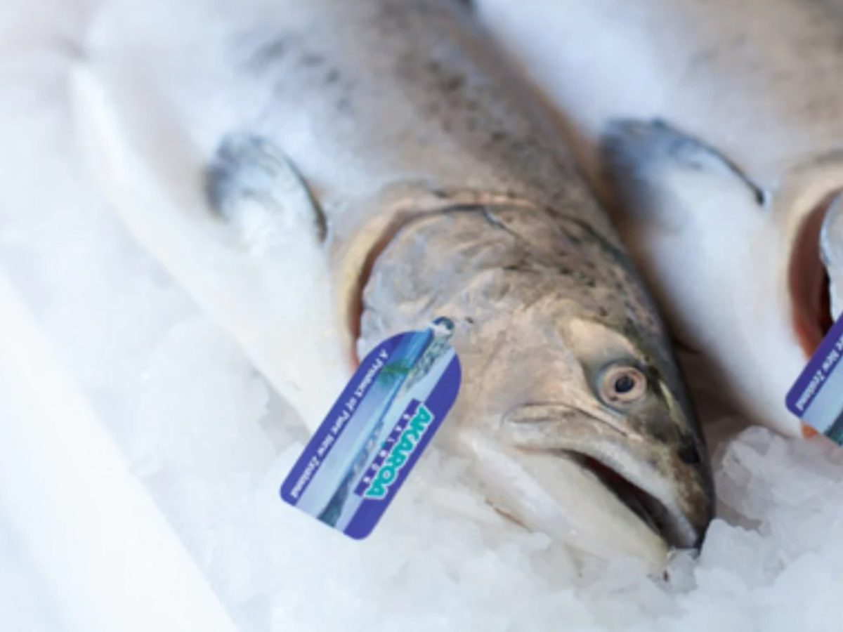Seafood NZ reveals 2023 award winners