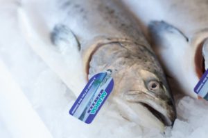 Seafood NZ reveals 2023 award winners