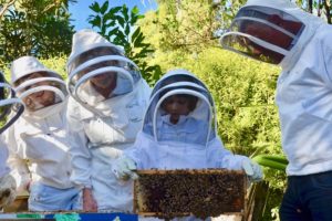 Bee Aware month 2023 takes flight