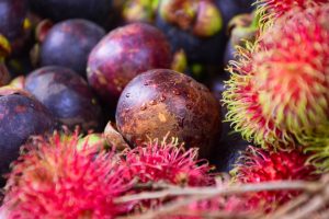 MPI considering new tropical fruit plants