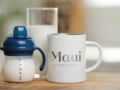 Maui cuts sheep milk exports