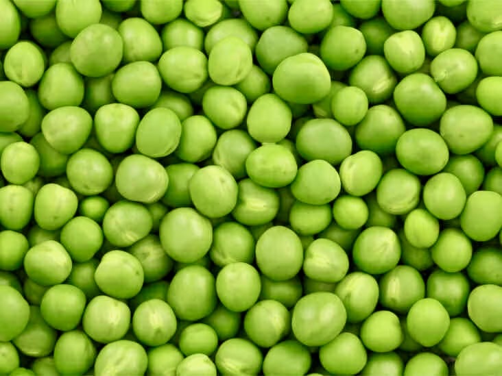 Plant Research, GreenVenus partner for pea protein