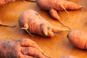 Perspectives: How marketing can rescue ‘ugly’ produce from becoming food waste
