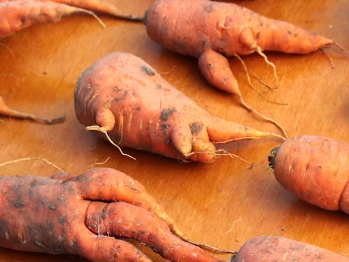 Perspectives: How marketing can rescue ‘ugly’ produce from becoming food waste